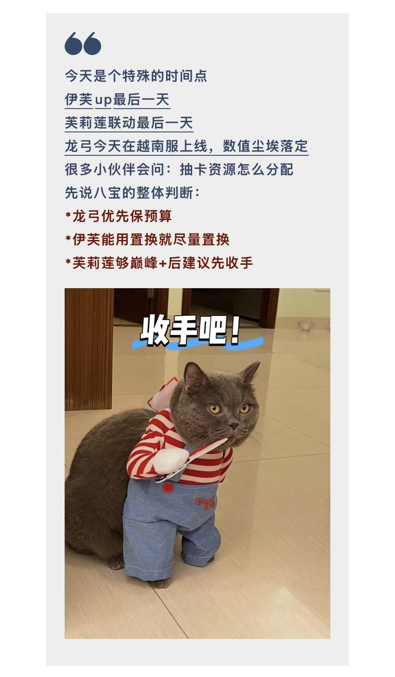 剑与远征：启程抽卡十字路口：伊芙、芙莉莲、龙弓到底先保谁？