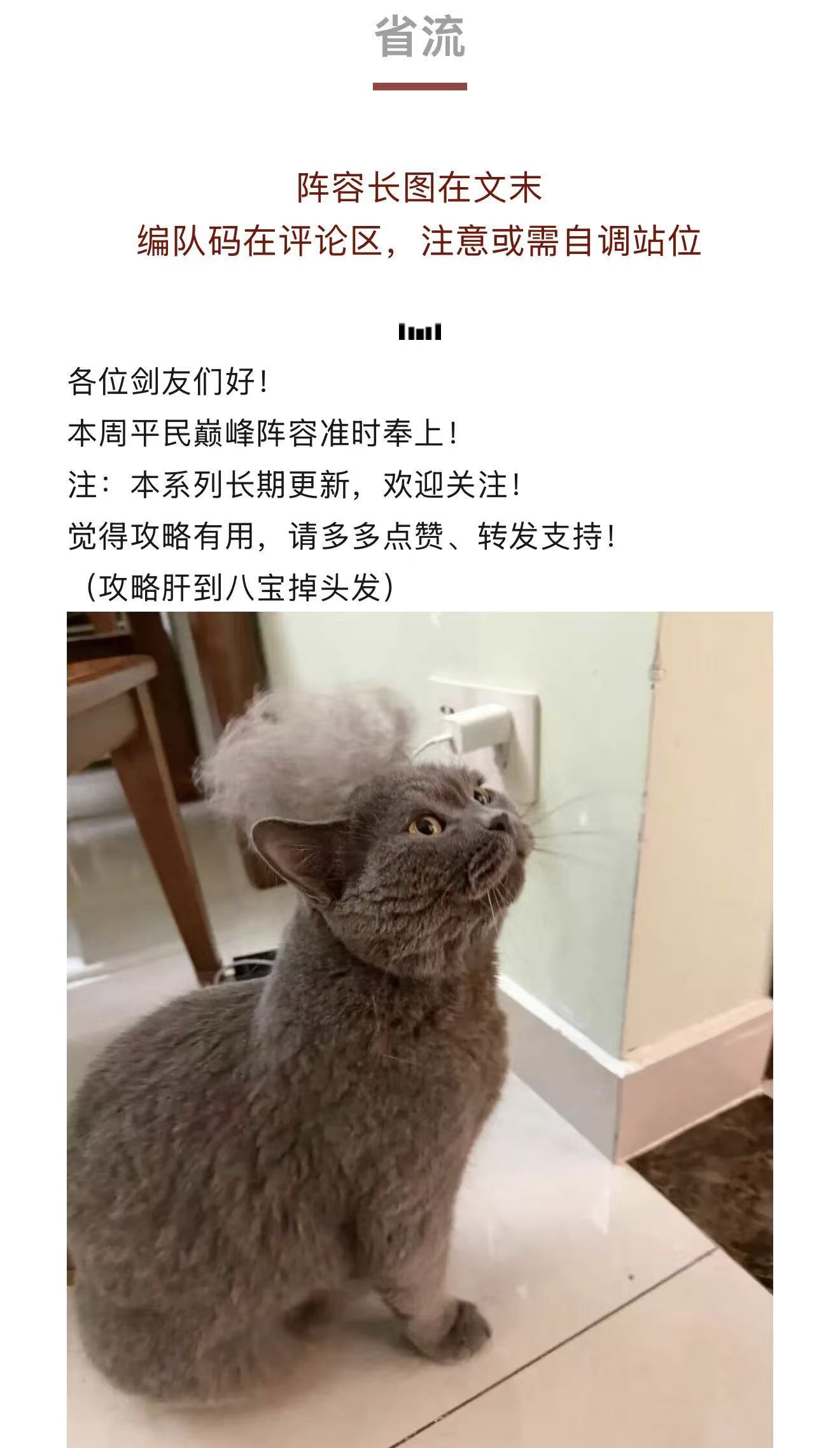 剑与远征：启程【宝典叮当】4.22-4.26巅峰平民阵容｜绿裔这次真的能用！
