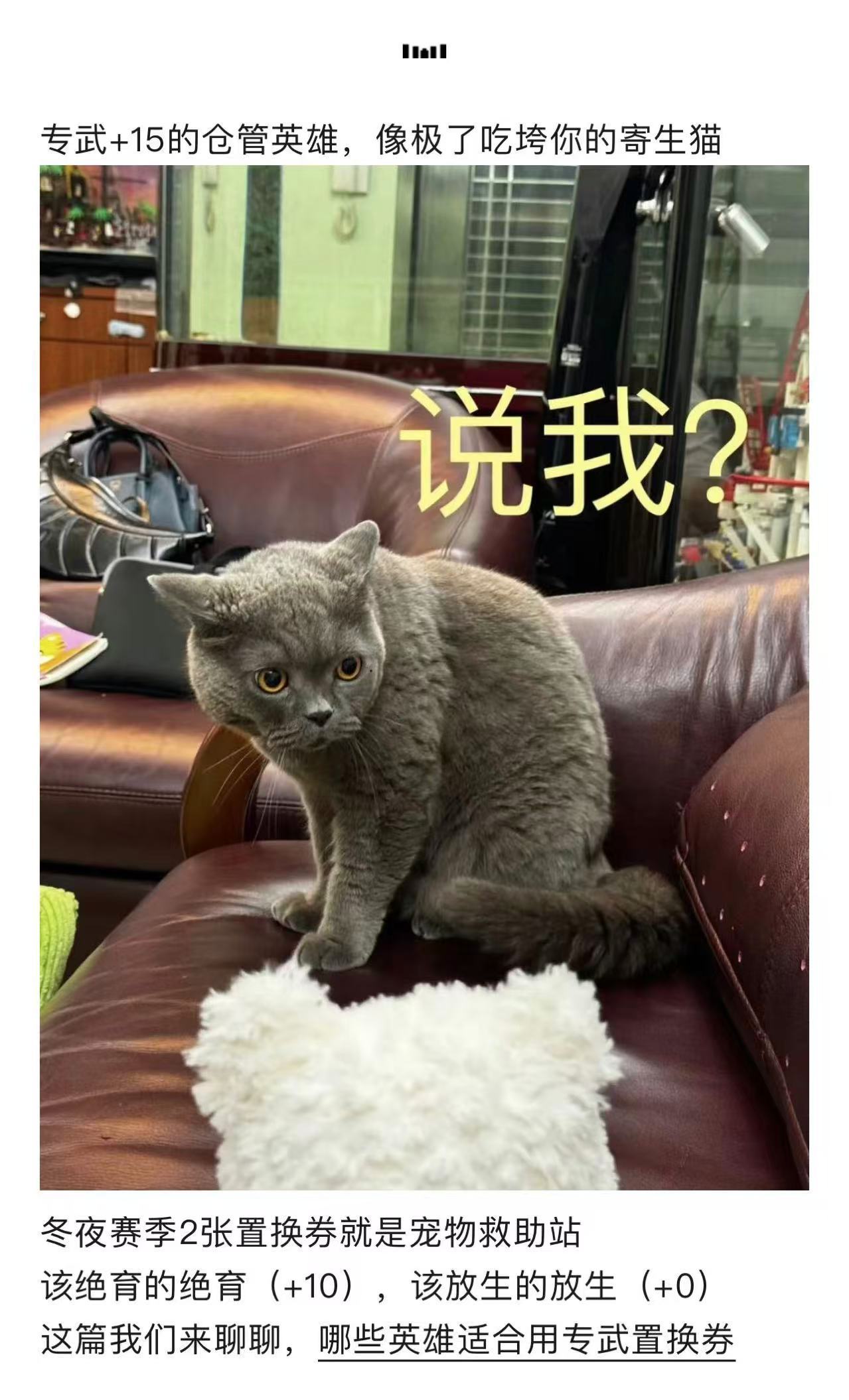 剑与远征：启程【资源规划】专武置换｜猫博主带你领取200金瓜子绝育补贴