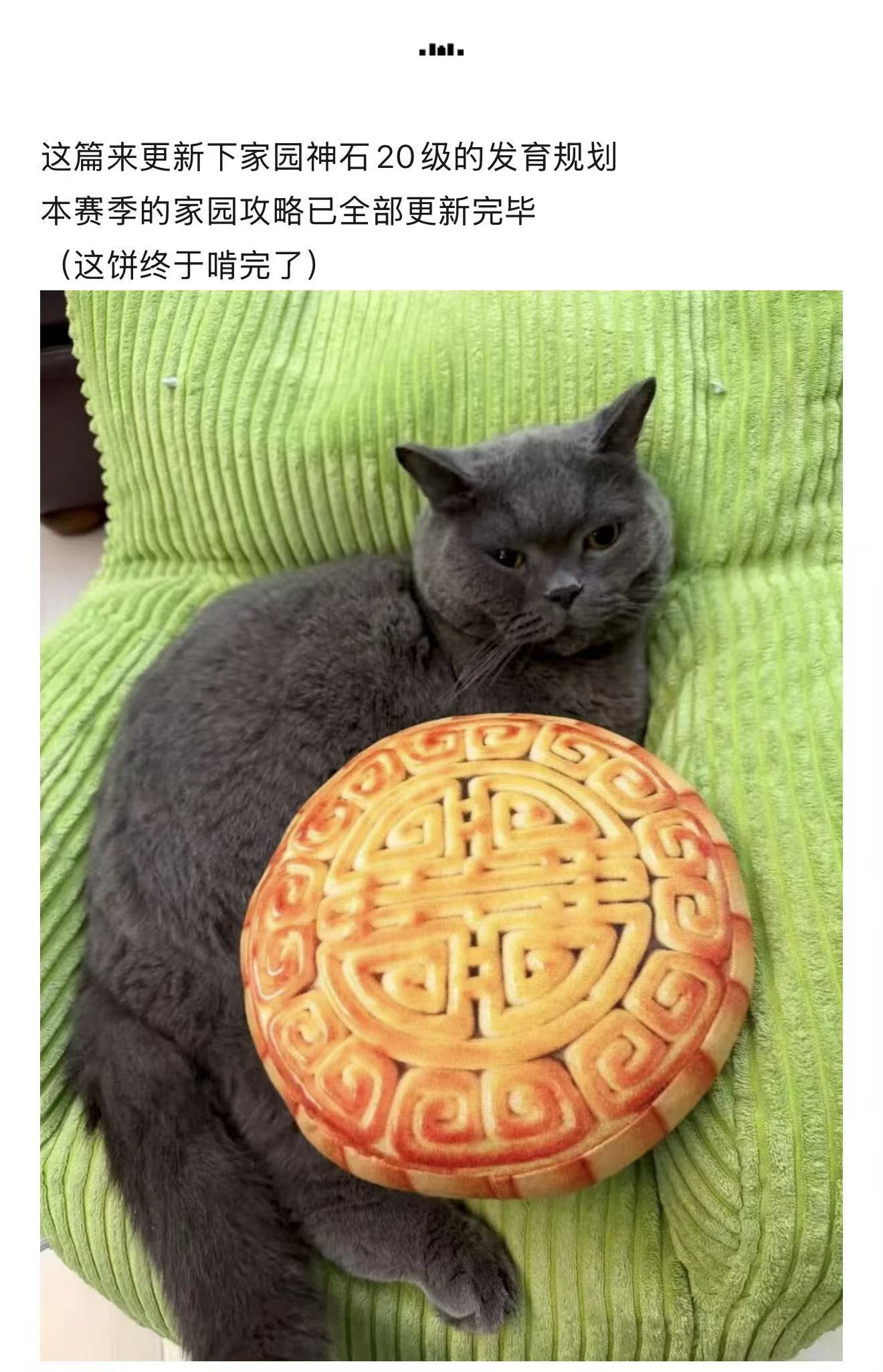 剑与远征：启程【八宝农研】家园20级神石发育贴士｜护肝建议、单杀魔潮boss
