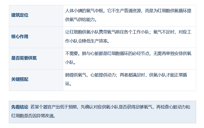 工作细胞：大作战《战斗细胞》肺部建筑功能：供氧循环的氧气中枢