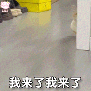 逍遥情缘门派攻略 | 凌霄殿攻略一图速览！