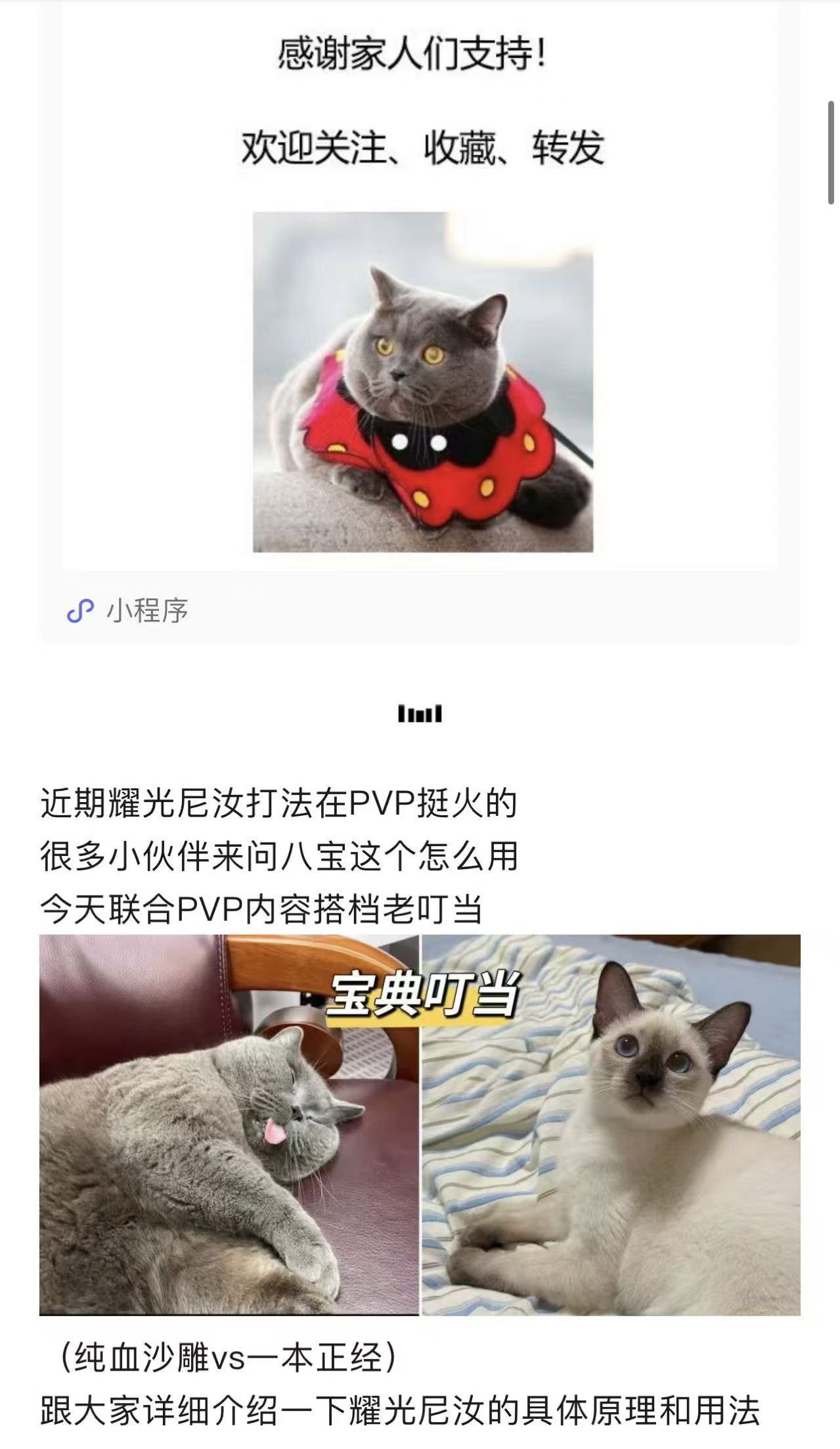 剑与远征：启程【宝典叮当】耀光尼汝：3440%核弹真伤，带个牢瓦打顶流钟火毒？
