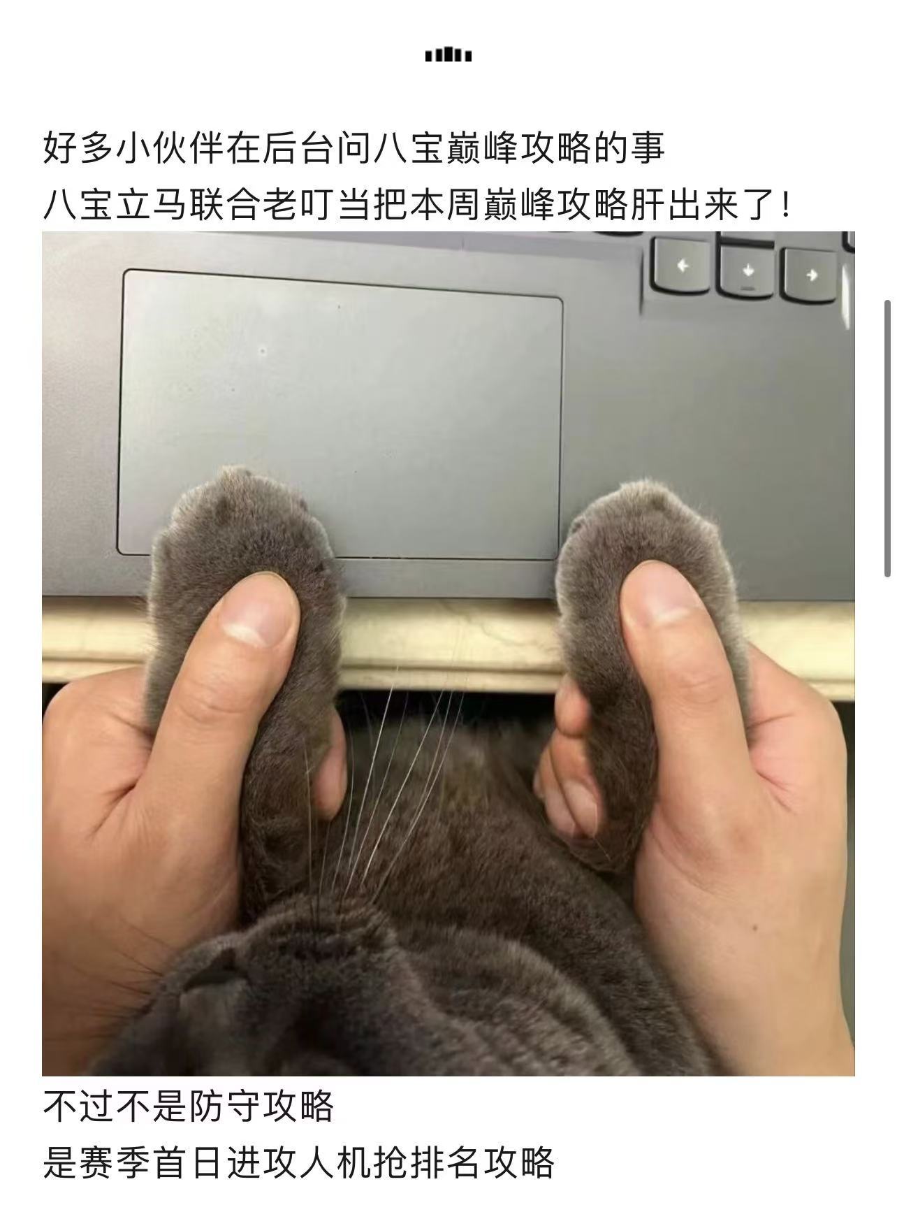 剑与远征：启程【宝典叮当】赛季首日巅峰人机战进攻阵容